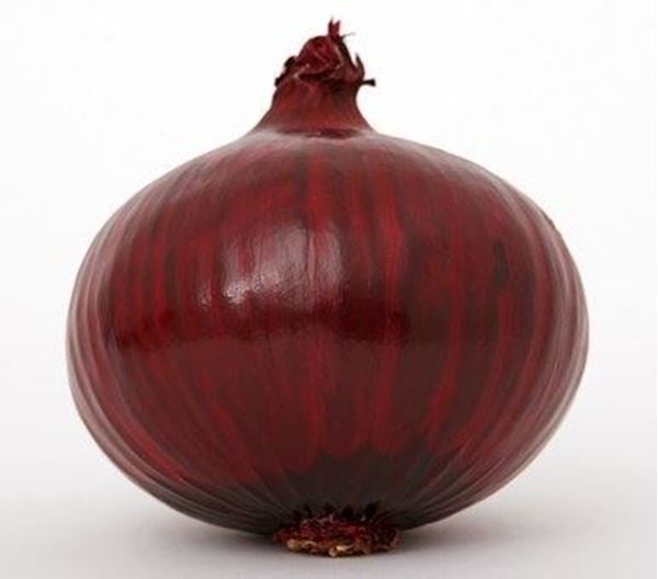 Picture of Produce: Onion, Red