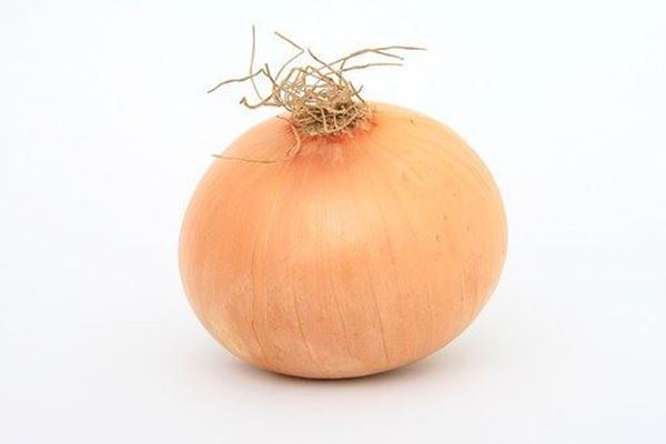 Picture of Produce: Onion, Yellow